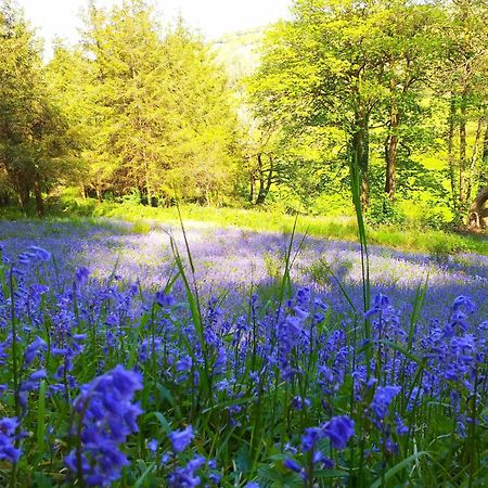 Lobhill Farmhouse Bed And Breakfast And Self Catering Accommodation Okehampton Exterior photo